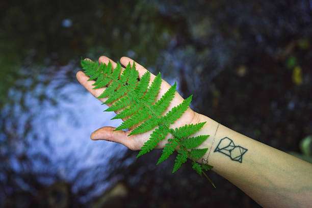 Hand holding fern, showing a unique wrist tattoo made with quality tattoo ink.